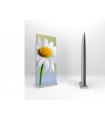 Roll-up stand ECO double-sided - 85cm | 100 cm